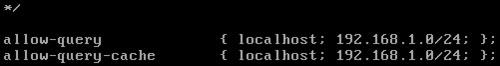 Linux(CentOS)如何安裝DNS服務器？