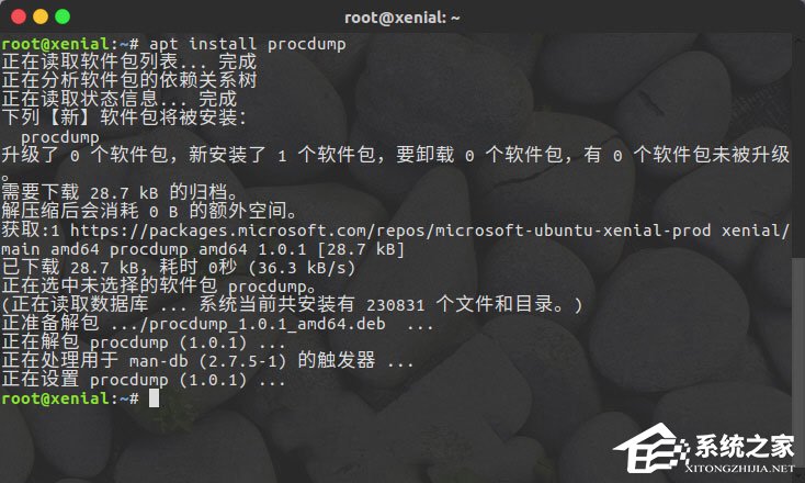 Linux系統如何安裝使用ProcDump for Linux？