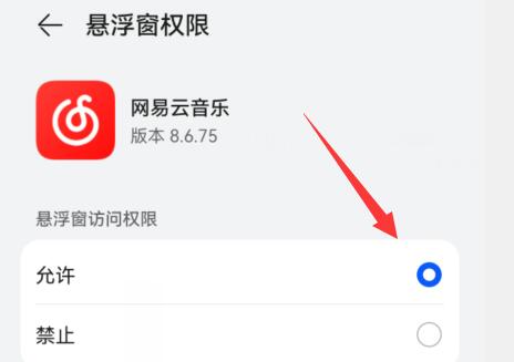 網易云音樂顯示歌詞在手機屏幕教程