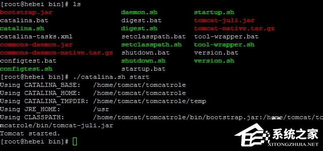 Linux系統如何查看和結束進程？