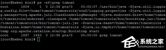 Linux系統如何查看和結束進程？
