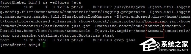 Linux系統如何查看和結束進程？