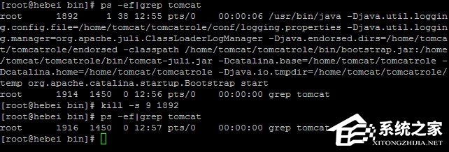 Linux系統如何查看和結束進程？