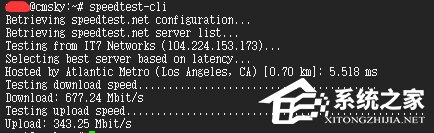 Speedtest測速怎么看？Linux Speedtest測試方法