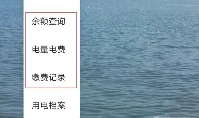 每日每月電費明細怎查詢，微信怎么查每天用電量