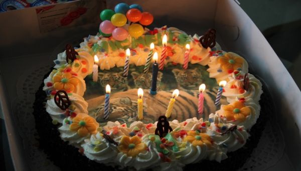 抖音很火的生日短句 有哪些簡短的抖音生日句子