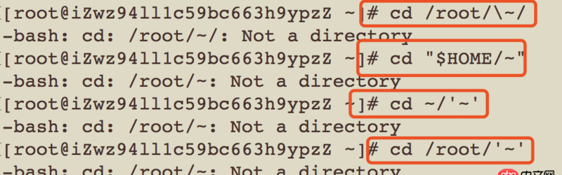 bash - 不小心在linux上創建了一個名字為 ’~’ (不包含引號)的文件夾，現在怎么都進不去這個文件夾了