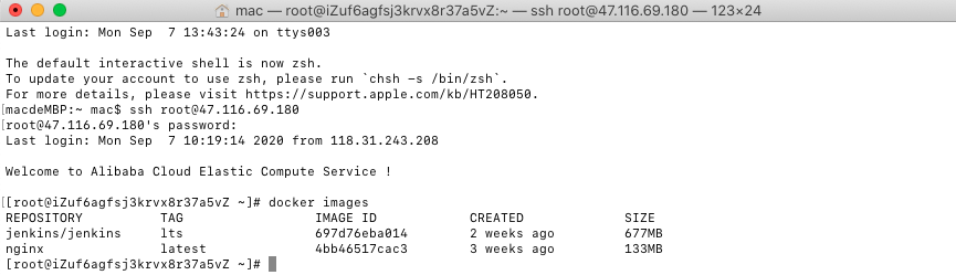 基于Docker、Nginx和Jenkins實現前端自動化部署