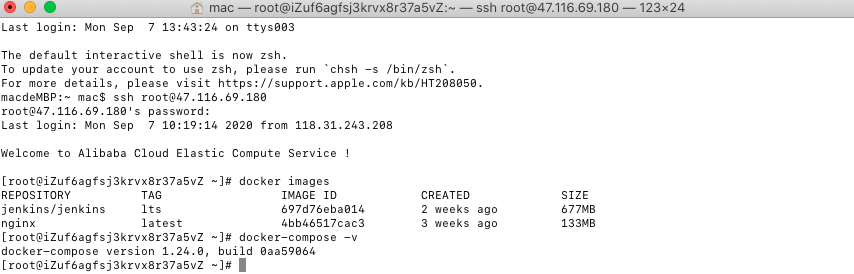 基于Docker、Nginx和Jenkins實現前端自動化部署