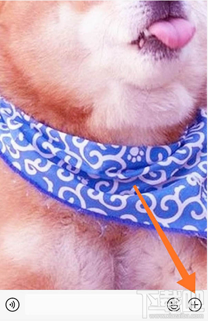 微信紅包封面序列號怎么添加？