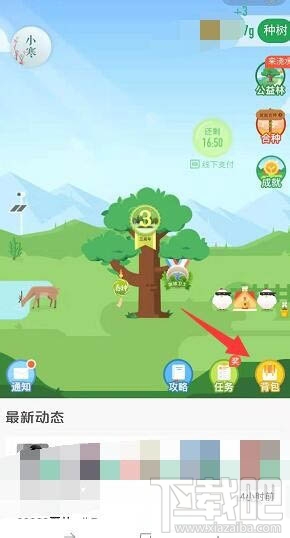 支付寶螞蟻森林梅花掛件怎么領取？