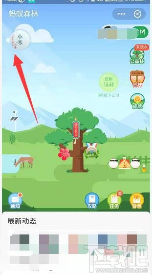 支付寶螞蟻森林梅花掛件怎么領??？