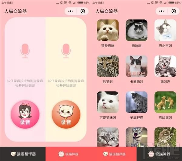 吸貓微信小程序推薦，人貓交流器讓你家寵物更軟萌可愛
