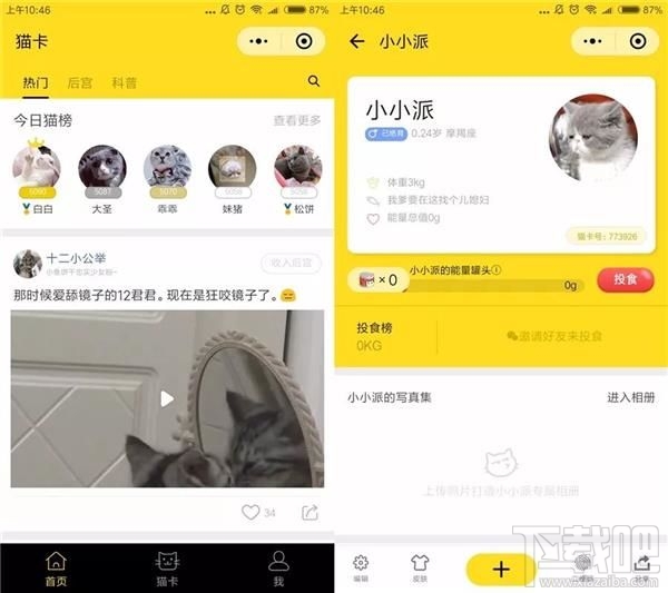 吸貓微信小程序推薦，人貓交流器讓你家寵物更軟萌可愛