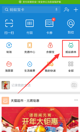 支付寶種樹怎么收集能量？支付寶種樹收集能量方法