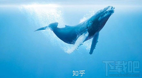 知乎知卡怎么樣？知乎知卡資費介紹