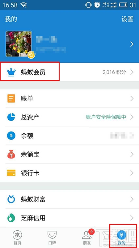 怎么看支付寶等級？怎么看自己是不是支付寶鉑金會員？