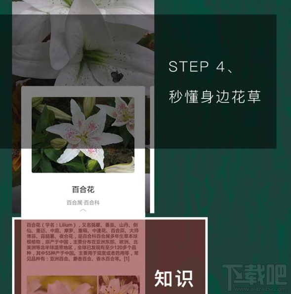 QQ瀏覽器識你所見是什么？QQ瀏覽器識你所見怎么玩？