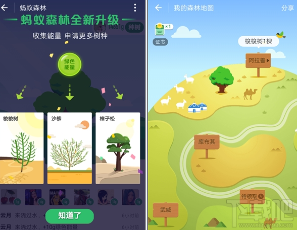 支付寶螞蟻森林新增沙柳/樟子松需要多少能量？