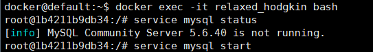 docker中使用mysql數據庫實現局域網訪問