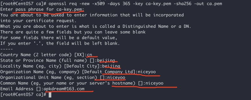 Docker開啟遠程安全訪問的圖文教程詳解
