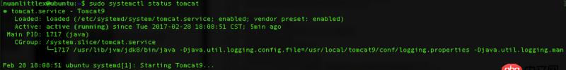 service - Ubuntu16 Tomcat9 設置開機自動重啟時為什么起不來？