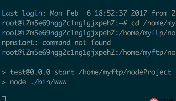 node.js - 終端 遠程連接服務器，終端關閉后，服務器無法運行
