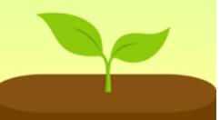 forest如何更改標簽？更改標簽的步驟分享