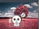 連我相機怎么使用？連我相機使用方法說明