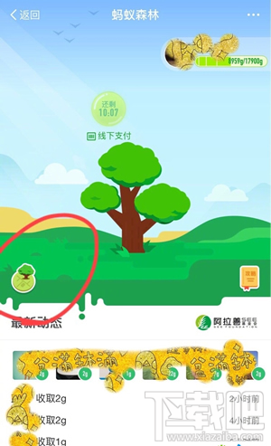 支付寶螞蟻森林地圖怎么進入？螞蟻森林模擬地圖入口在哪