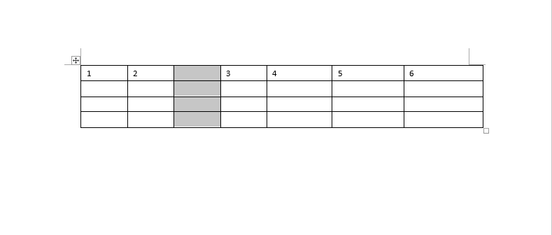 WORD2019怎么在右側插入一行