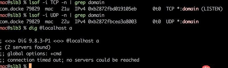 Docker for Mac 創建的dnsmasq容器連不上/不工作的問題
