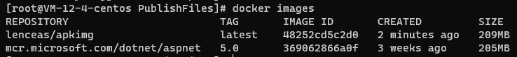 Linux系統Docker 部署 ASP.NET Core應用的流程分析