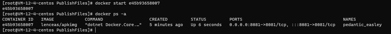 Linux系統Docker 部署 ASP.NET Core應用的流程分析