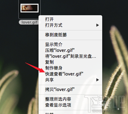 Mac怎么查看gif圖片？Mac系統怎么查看gif圖片？