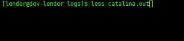 linux less命令實例詳解