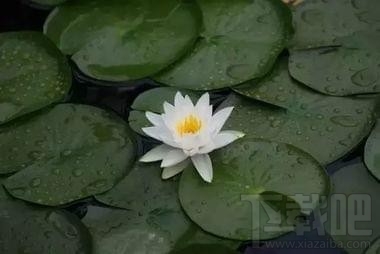 snapseed怎么修圖教程，snapseed手機版使用教程