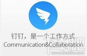 釘釘多人視頻會議好用嗎？