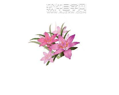 ai旋轉圖片