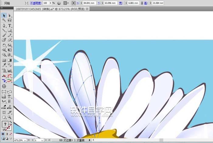 AI怎么畫甘菊