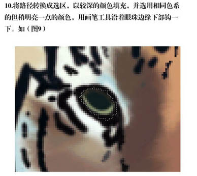 PS手繪老虎圖片