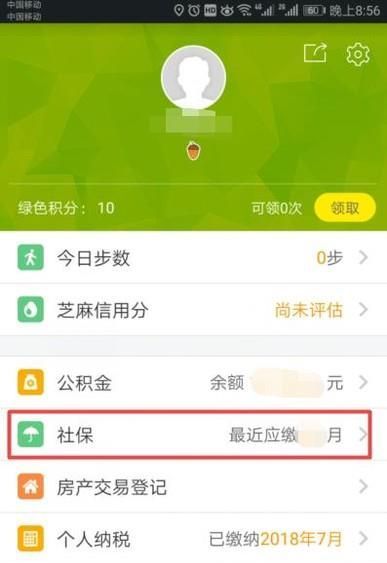 在哪里可以查到個人社保繳費信息？