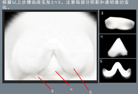 PS手繪貓頭像