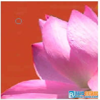 第十課:PS利用快速蒙板摳圖