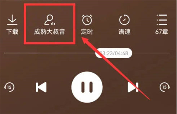 番茄暢聽怎么切換聲音