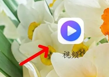 芒果會員免費領取2023