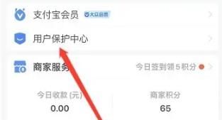 支付寶開啟大額保護在哪設置